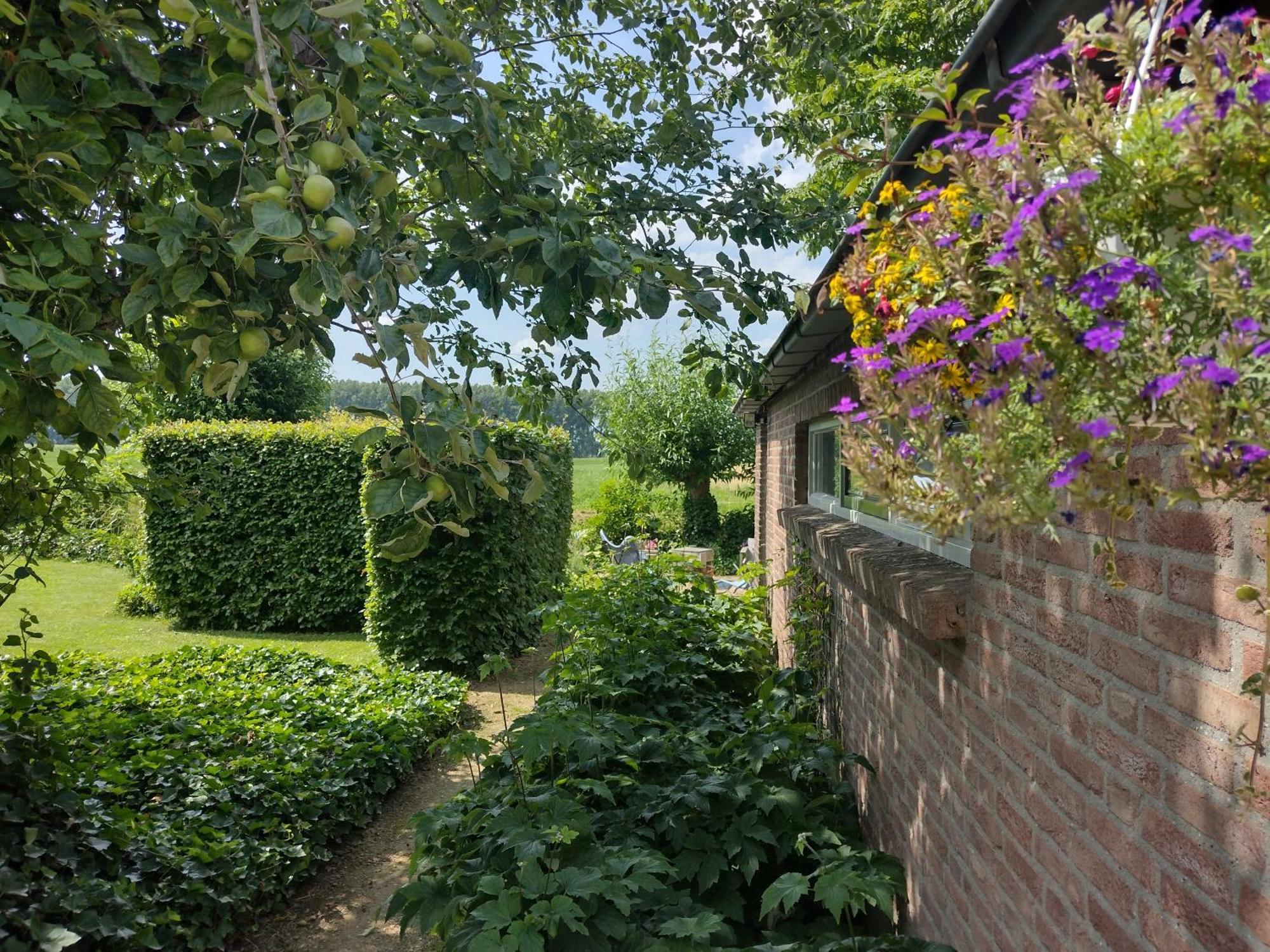 Holiday Cottage De Garage Inn Hank Eksteriør billede