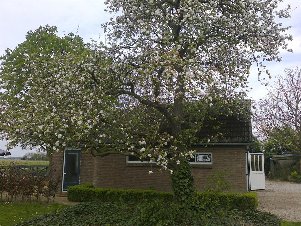 Holiday Cottage De Garage Inn Hank Eksteriør billede